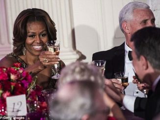 Michelle Obama, Doron Paloma Jewels